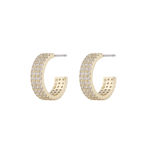 Ace oval ear g/clear