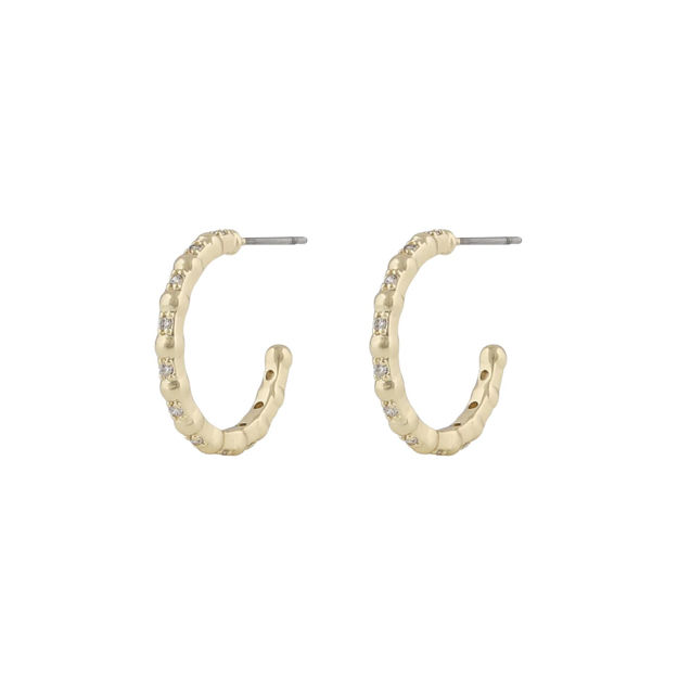 Ace small ring ear g/clear