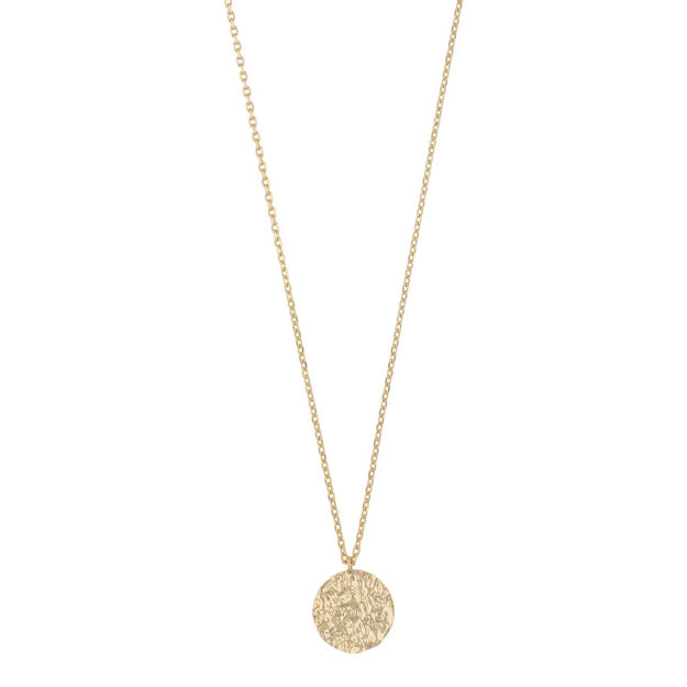 Lauren coin pendant neck 45 plain g