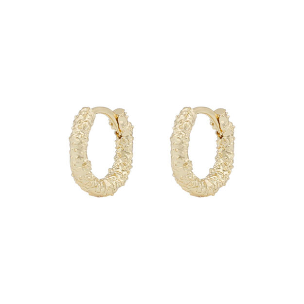 Gisele small ring ear plain g