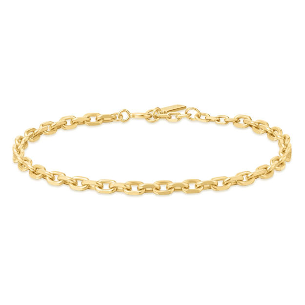 ANIA HAIE gold medium chain bracelet.