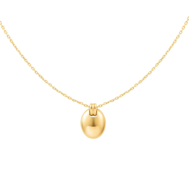 ANIA HAIE gold oval charm necklace 