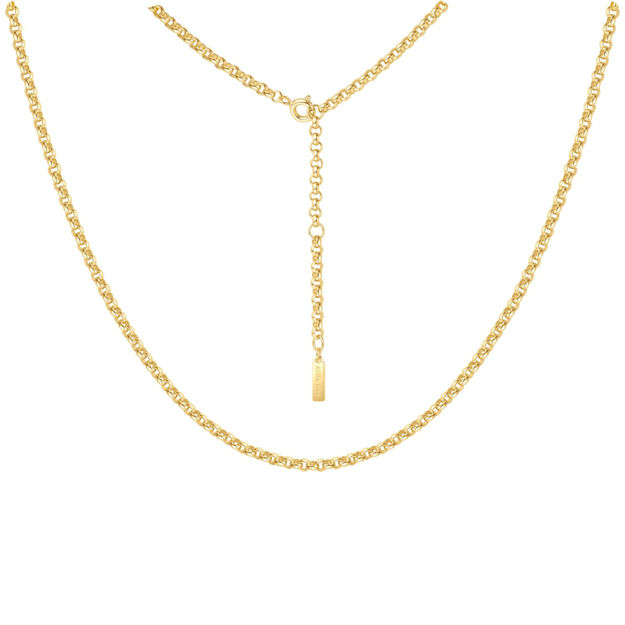 ANIA HAIE gold classic rolo chain necklace